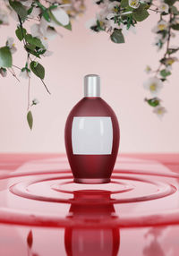 Close-up of pink flower on table