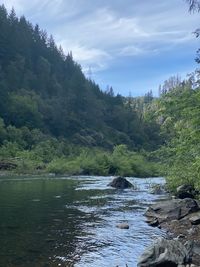Scenic view of river amidst trees against sky