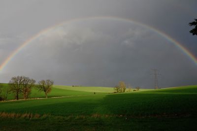 Scenic view of field against rainbow in sky