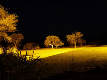 Scenic view of field against clear sky at night