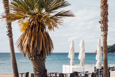 Palm trees and restaurant on beach against sky