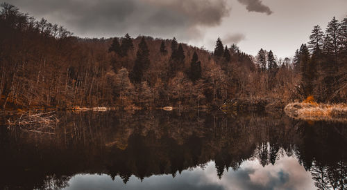Reflection of trees in lake against sky