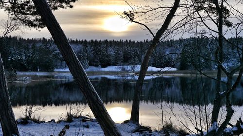 Scenic view of frozen lake in forest during sunset