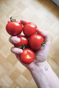 High angle view of person holding tomatoes