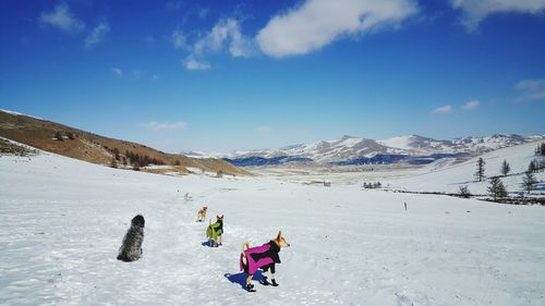 Rear view of dogs on snow