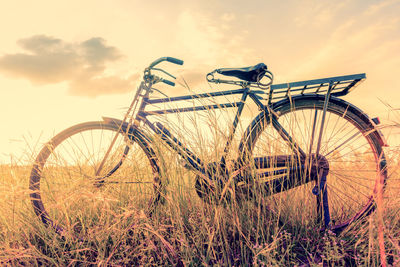 Bicycle amidst plants growing on land against sky during sunset