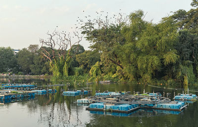 Boats moored in lake against sky