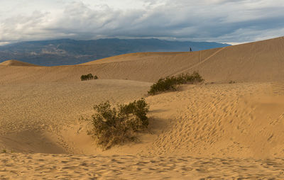 Scenic view of desert against sky