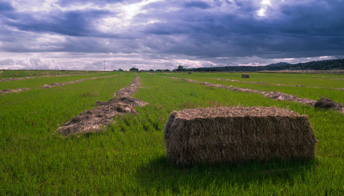 Hay bales on field against sky