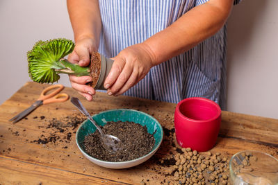A woman transplants a houseplant, a flower in a ceramic pot.