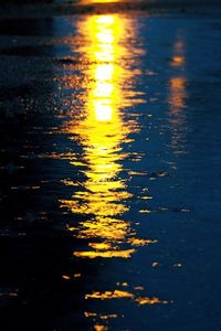 Reflection of trees in water