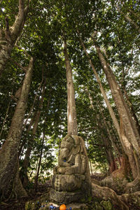 Low angle view of statue against trees in forest