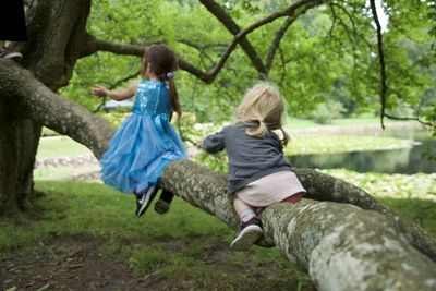 Full length of two girls climbing and on a tree trunk