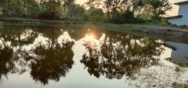 Reflection of trees in lake against sky