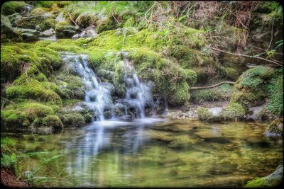 River flowing through rocks