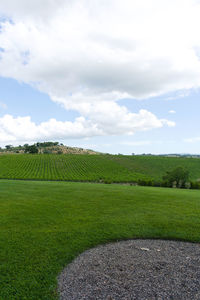 Scenic view of agricultural field against sky