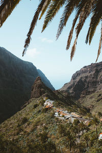 Scenic view of palm trees on mountain against sky