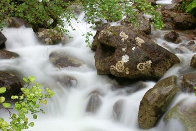 Scenic view of waterfall