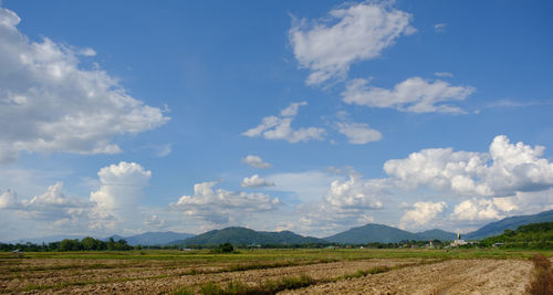 Scenic view of agricultural field against sky