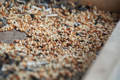 High angle view of coffee beans