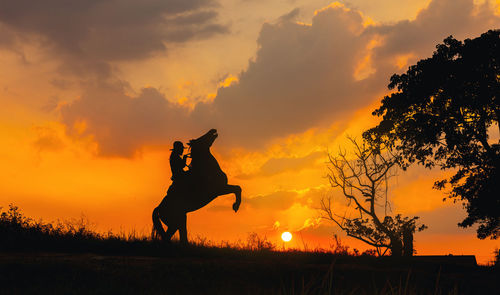 Silhouette woman standing on field against sky during sunset