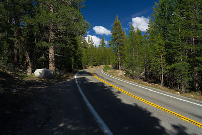 Road amidst trees in forest against sky