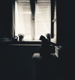 Rear view of woman sitting on window