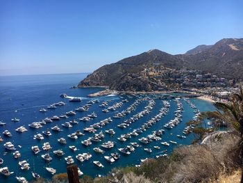 High angle view of yachts moored in sea