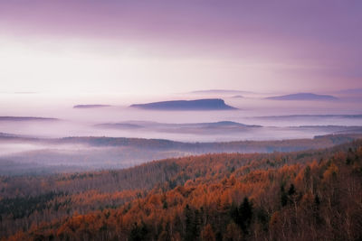 Scenic view of landscape against sky