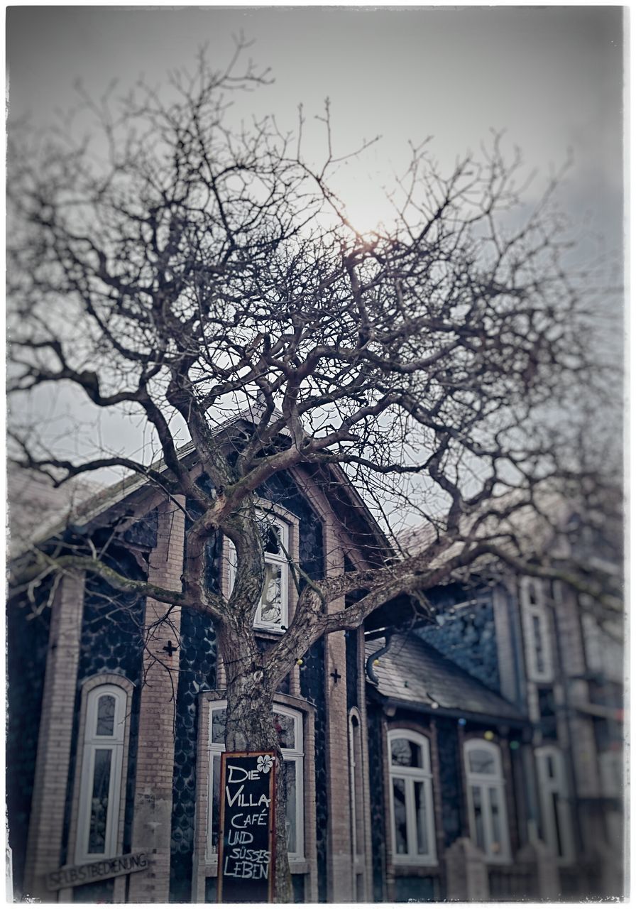 architecture, building exterior, built structure, bare tree, transfer print, auto post production filter, low angle view, window, branch, tree, sky, residential building, residential structure, building, house, city, day, no people, outdoors, old