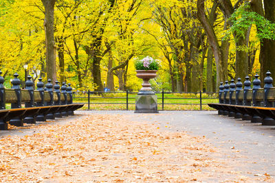 View of park bench during autumn