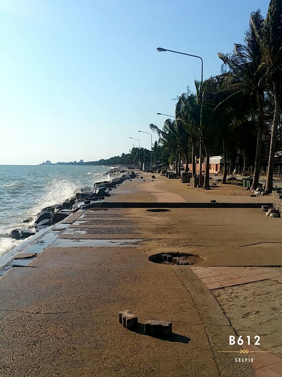 VIEW OF PALM TREES ON BEACH