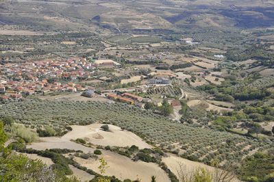 High angle view of agricultural field