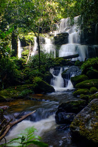 Scenic view of waterfall in forest