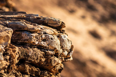 Close-up of rock formation