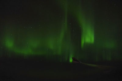 Illuminated light trails at night