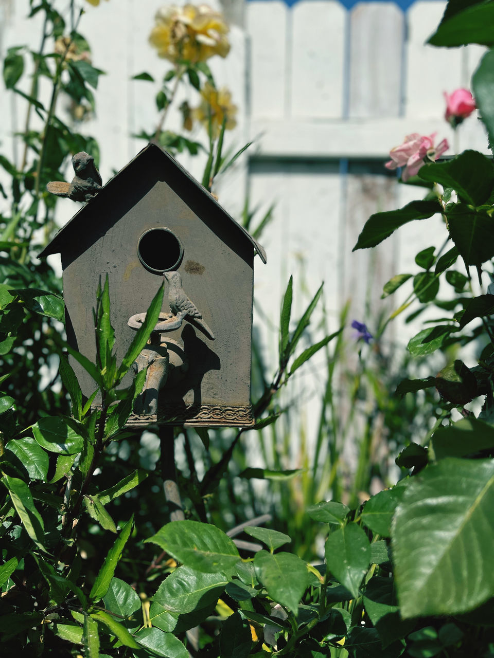 CLOSE-UP OF BIRDHOUSE ON PLANT AGAINST TREE