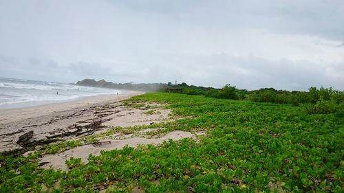 Scenic view of beach against sky