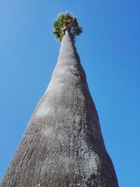 Low angle view of tree against clear blue sky