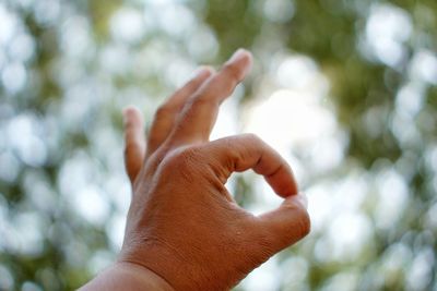 Close-up of person hand gesturing ok sign