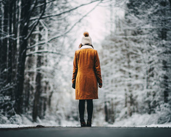 Rear view of man walking in forest