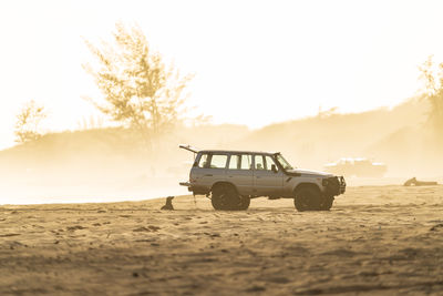 Truck and dog in hazy golden hour on beach