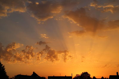 Low angle view of silhouette trees against sky at sunset