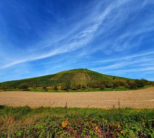 Scenic view of agricultural field against sky