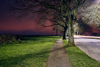 View of trees growing by road against sky