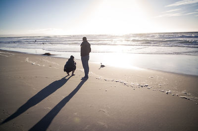 People watching bird at beach by sea against sky