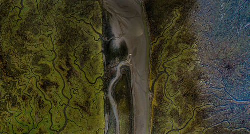 Scenic view of waterfall