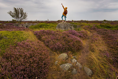 Woan standing on rock at field against sky with pink heather bushes in foreground