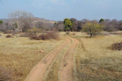 Dirt road passing through field