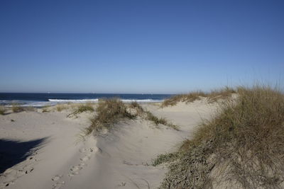 Scenic view of beach against clear blue sky